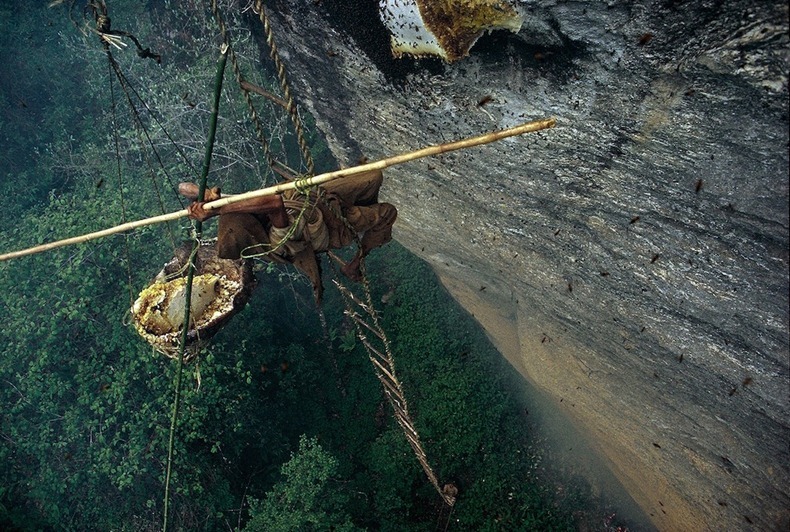 nepal_honey_hunters_01