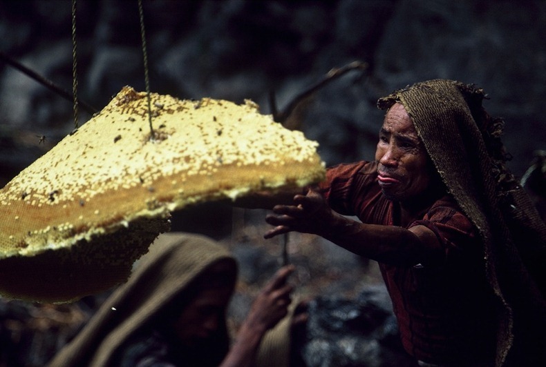 nepal_honey_hunters_03