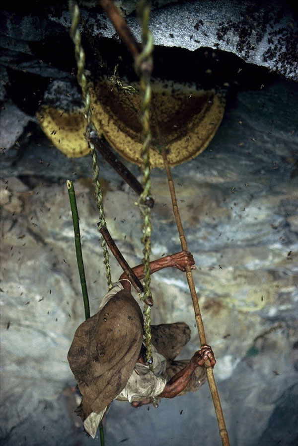 nepal_honey_hunters_04