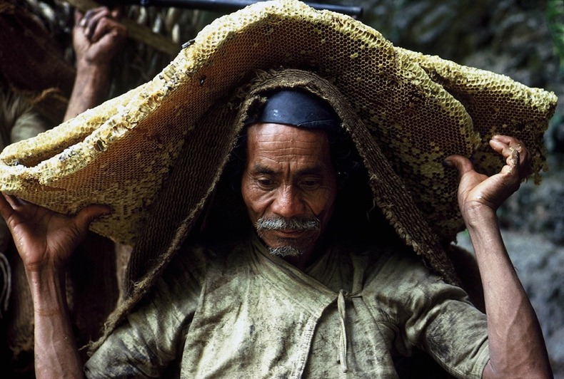 nepal_honey_hunters_05