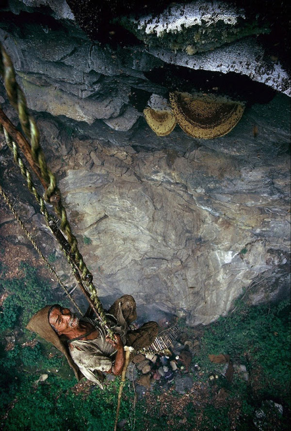 nepal_honey_hunters_06