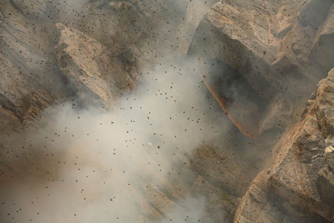 nepal_honey_hunters_11