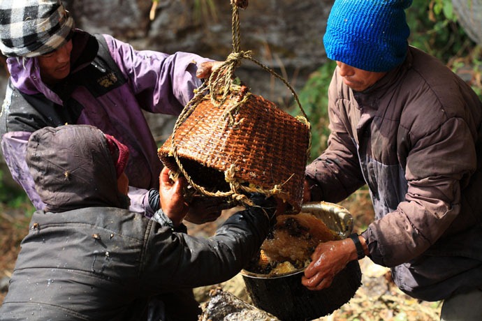 nepal_honey_hunters_19