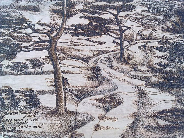 sunlight-drawing-pyrography-art-jordan-mang-osan-12