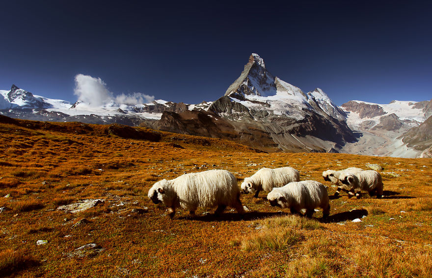 Karol-Nienartowicz-The-Polish-Adventurous-Mountain-Photographer37__880