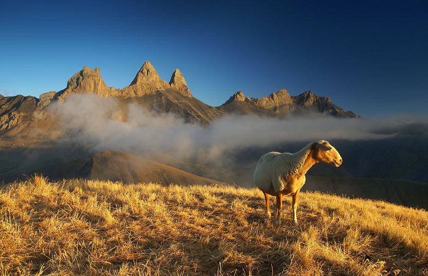 Karol-Nienartowicz-The-Polish-Adventurous-Mountain-Photographer41__880