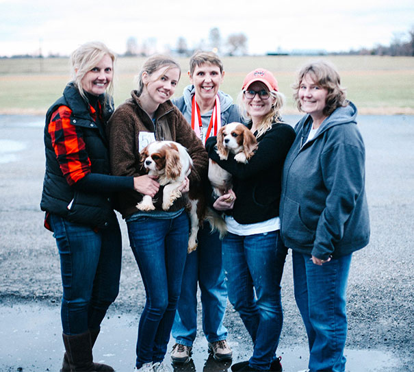 cavalier-king-charles-cocker-spaniel-rescue-puppy-mill-auction-8