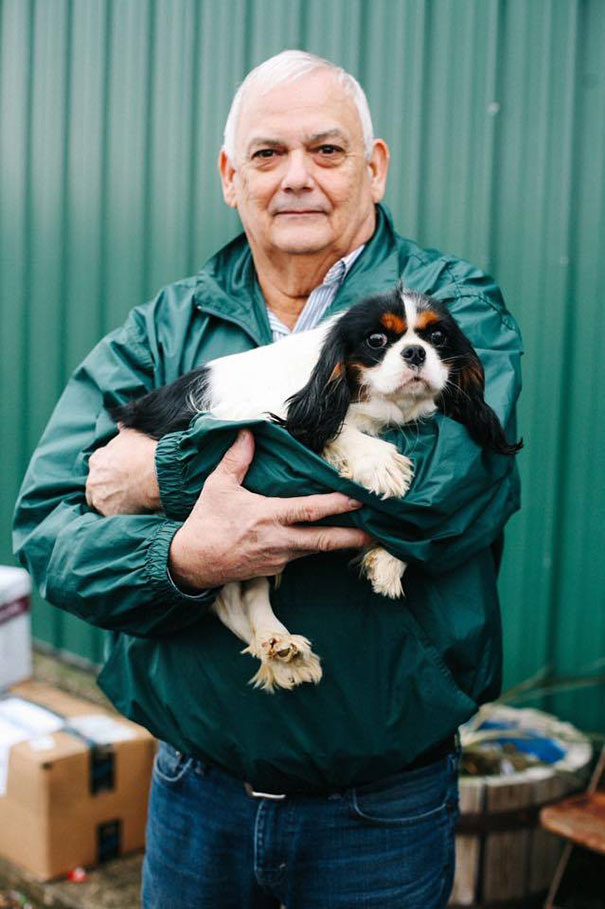 cavalier-king-charles-cocker-spaniel-rescue-puppy-mill-auction-9