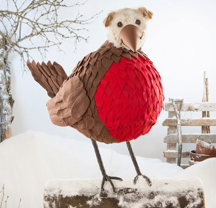 dog-transformed-to-other-animals-holiday-card-1