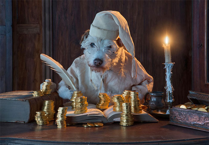 dog-transformed-to-other-animals-holiday-card-11