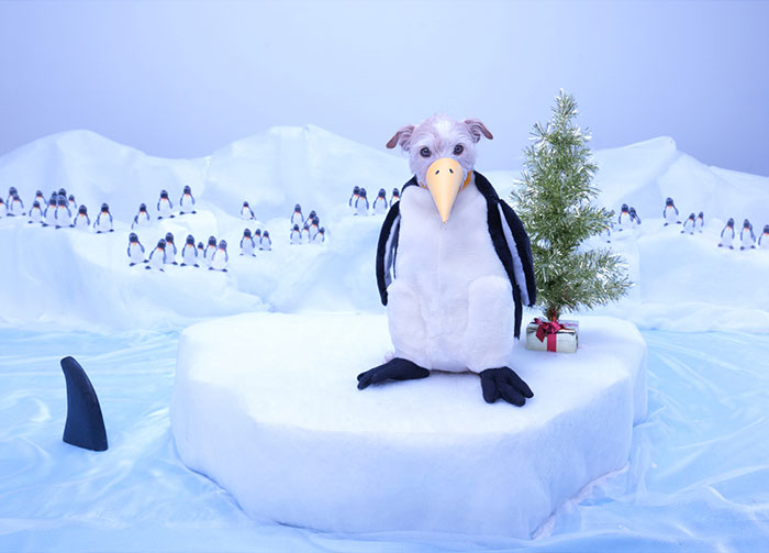 dog-transformed-to-other-animals-holiday-card-4