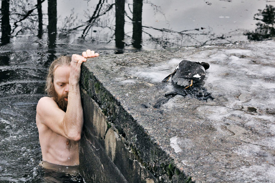 duck-rescue-frozen-lake-norway-7