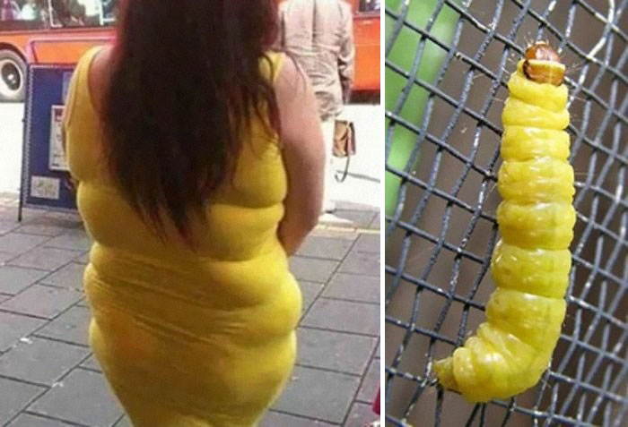 things-look-like-similar-103__700