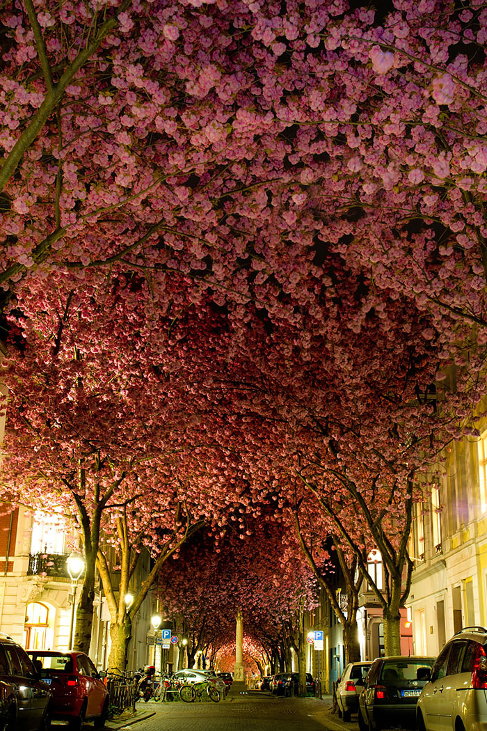 15 Pictures Of The Most Beautiful, Colorful And Eco-Friendly Streets In