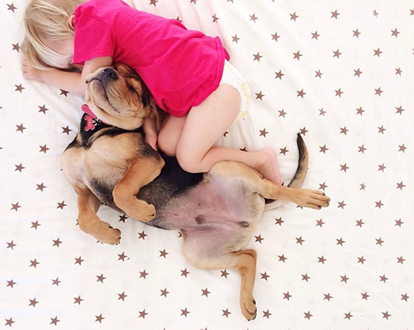 toddler-naps-with-puppy-theo-and-beau-2-15
