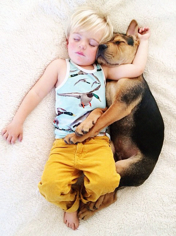 toddler-naps-with-puppy-theo-and-beau-2-18