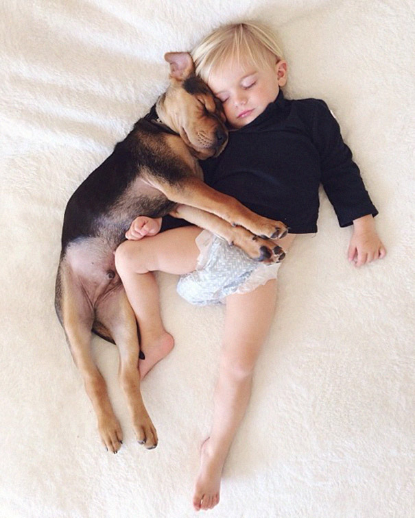 toddler-naps-with-puppy-theo-and-beau-2-7