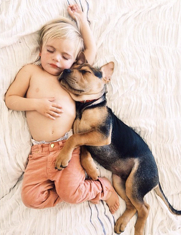 toddler-naps-with-puppy-theo-and-beau-2-9