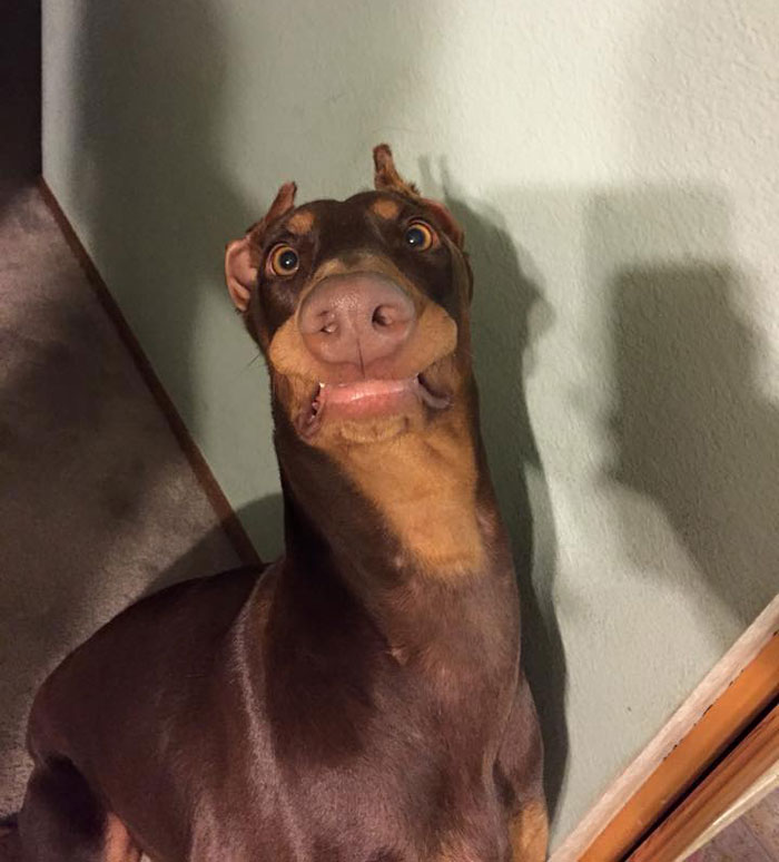 225