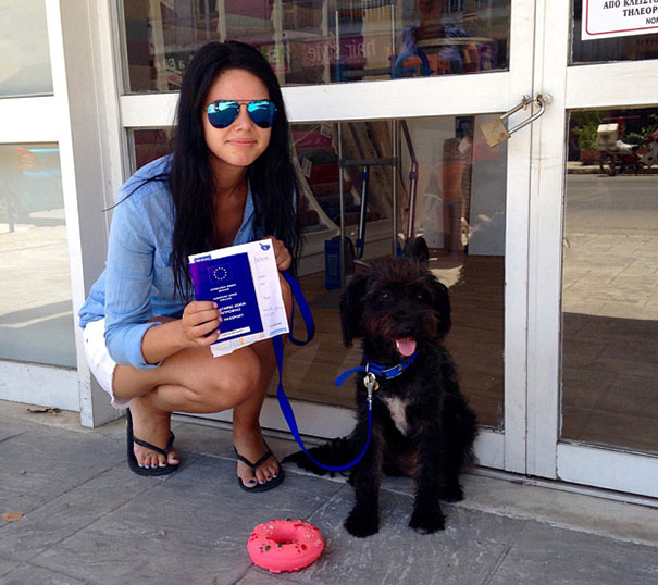 adopt-dog-saves-woman-from-attack-crete-georgia-bradley-9
