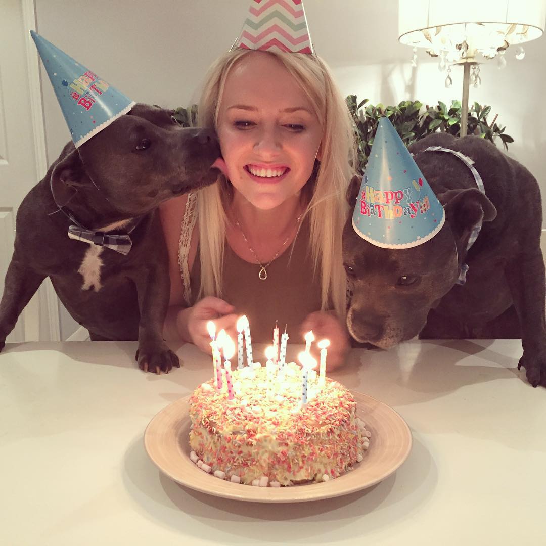 cute-dog-brothers-staffie-pit-bull-terriers-blueboys-82