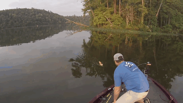 fishermen-rescue-kittens-boat-jason-frost-brandon-key-gif-4