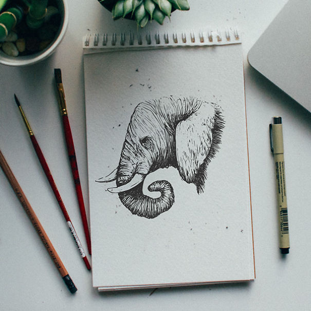 Designer-Draws-One-Animal-Per-Day-for-Newborn-Son5__605