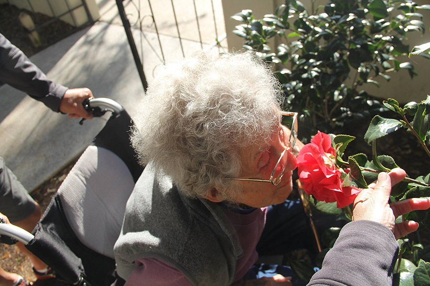 90-year-old-woman-road-trip-cancer-treatment-driving-miss-norma-30