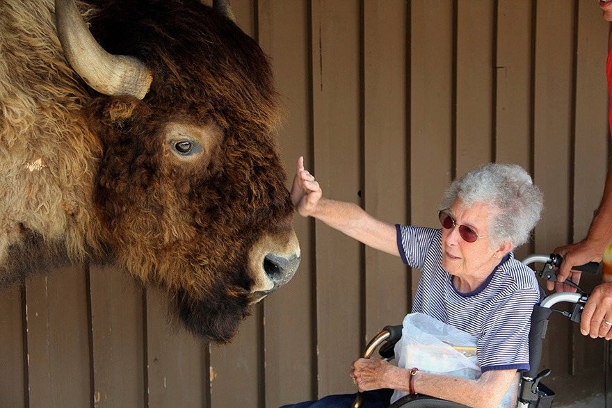 90-year-old-woman-road-trip-cancer-treatment-driving-miss-norma-36