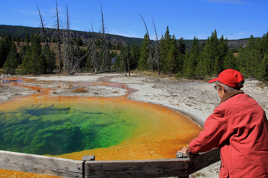 90-year-old-woman-road-trip-cancer-treatment-driving-miss-norma-6