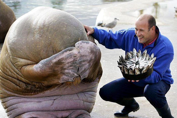 pets-that-have-better-birthday-parties-than-you-1